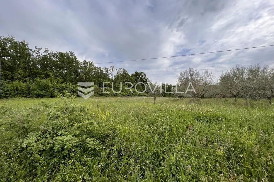 istra, juricani, građevinsko zemljište 860m2, okolica umaga - slika 6