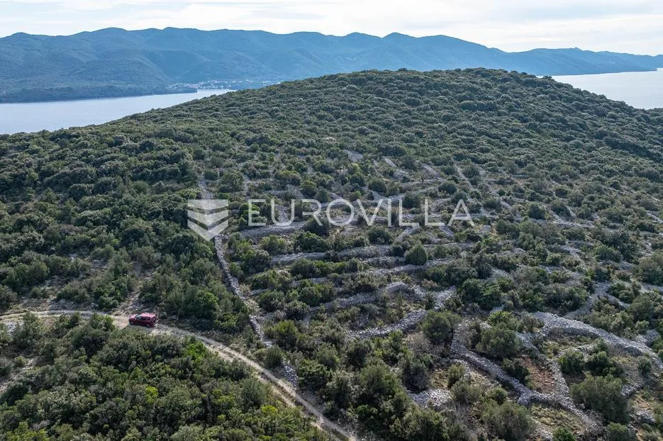 pelješac, nakovanj, poljoprivredno zemljište površine 17 000 m² - slika 4
