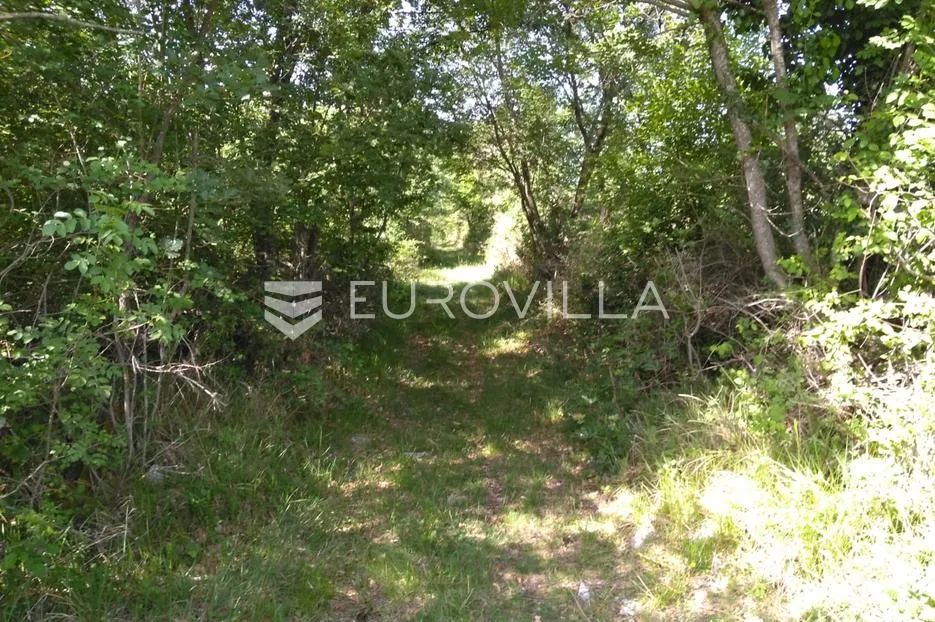 istra, poreč - poljoprivredno zemljište 62710 m2 - slika 8