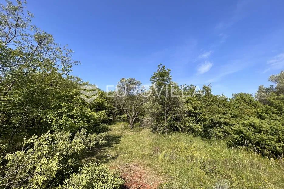 istra, šegotići, poljoprivredno zemljište, 3057m2 - slika 7