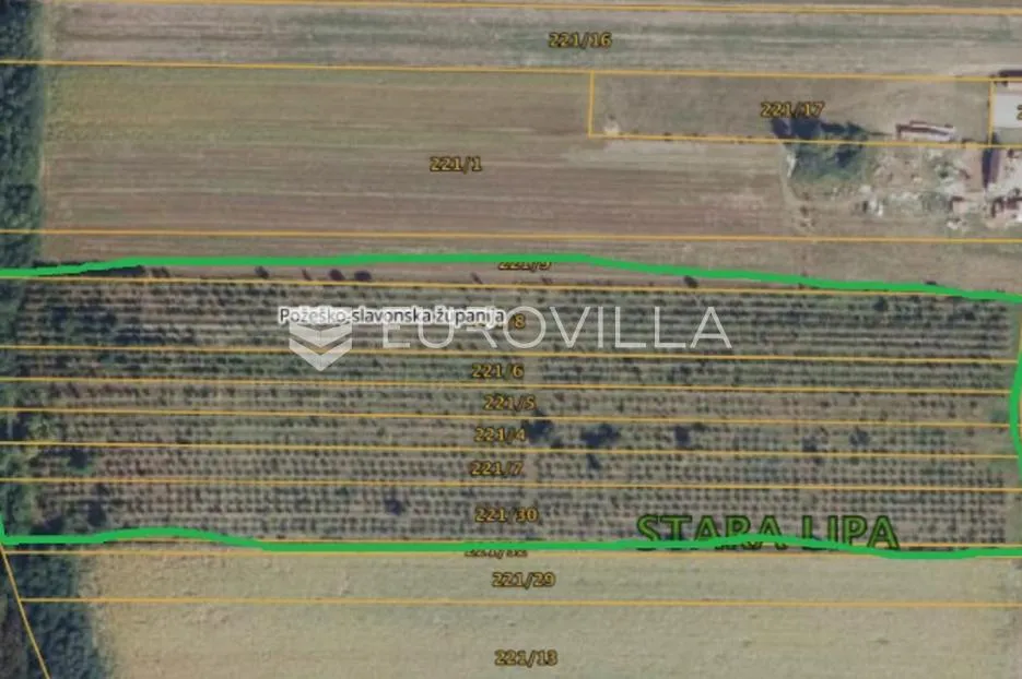 Požega, Stara Lipa, prostrano poljoprivredno zemljište 44 058 m² - Stara Lipa, Požega