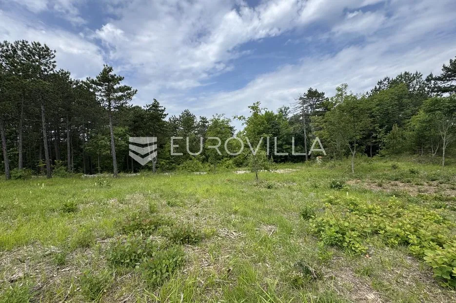 istra, grašćišće, jedinstveno građevinsko zemljište 2000 m² okruženo stoljetnom šumom 36789 m² - slika 15