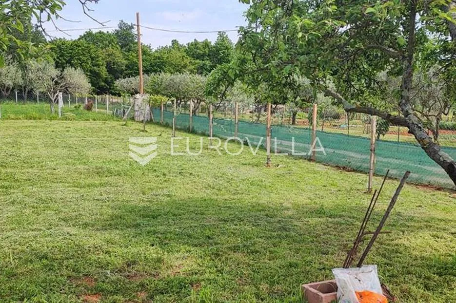 Valtura, ravno poljoprivredno zemljište sa uređenim putem
