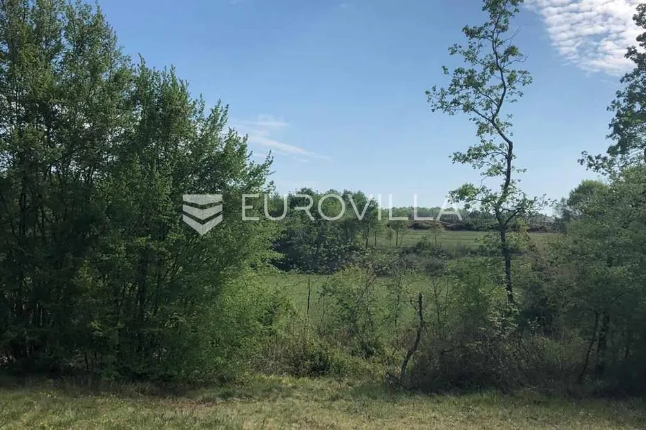 istra, sveti lovreč okolica, građevinsko 538m2 i poljoprivredno zemljište ukupne površine 48294m2 - slika 7
