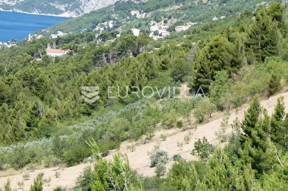brela - zemljište s predivnim pogledom (1665 m2) - slika 3