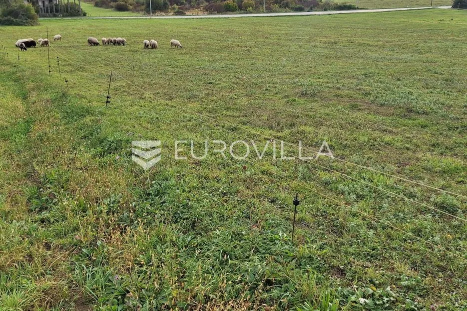 karlovac, tušiović, zemljište 7000 m², 200 m do rijeke radonje - slika 2