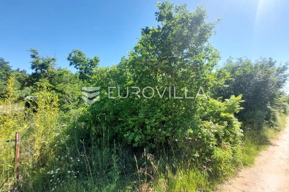 istra, loborika, poljoprivredno zemljište s uređenim putem - slika 4