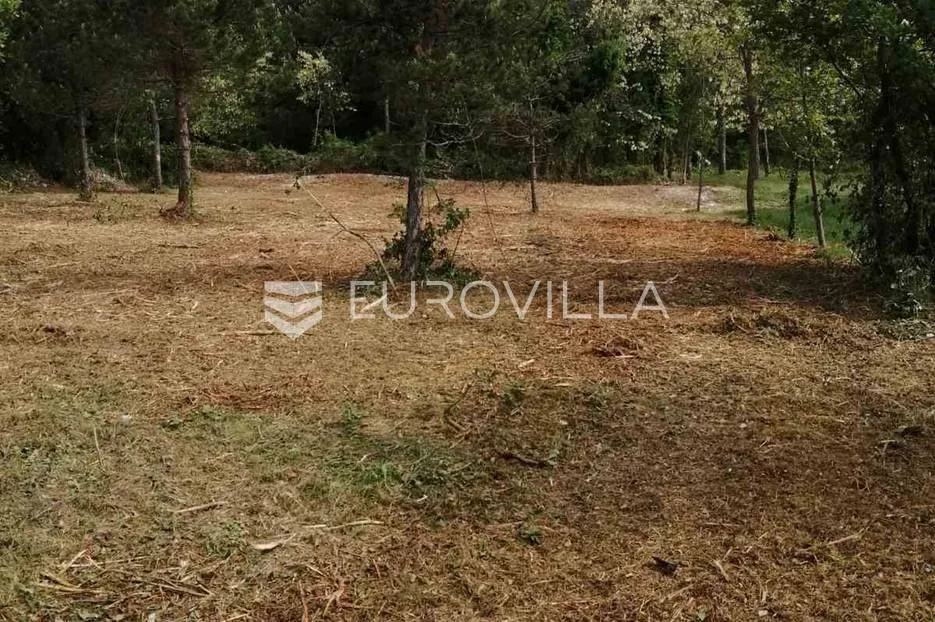 Istra, okolica Labina, građevinsko zemljište 3000 m2