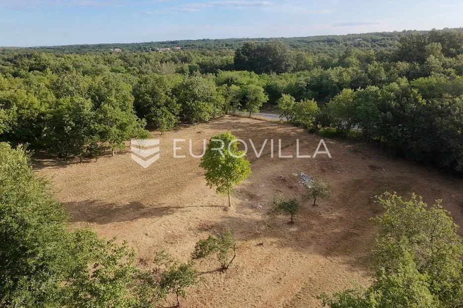 istra, tinjan, građevinsko zemljište nkp 3623 m2 - slika 9