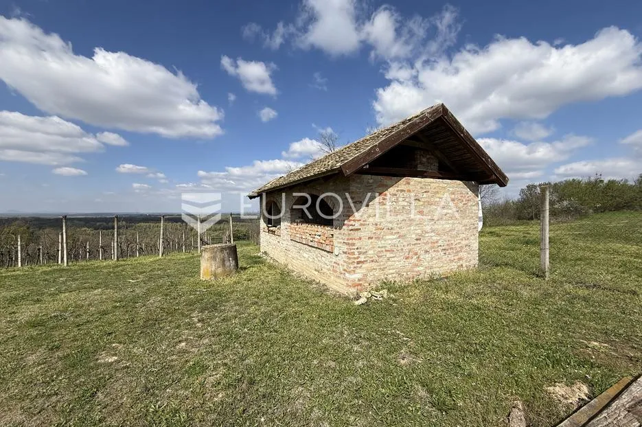 batina, zemljište s vinogradom i predivnim pogledom, 3274 m² - slika 7