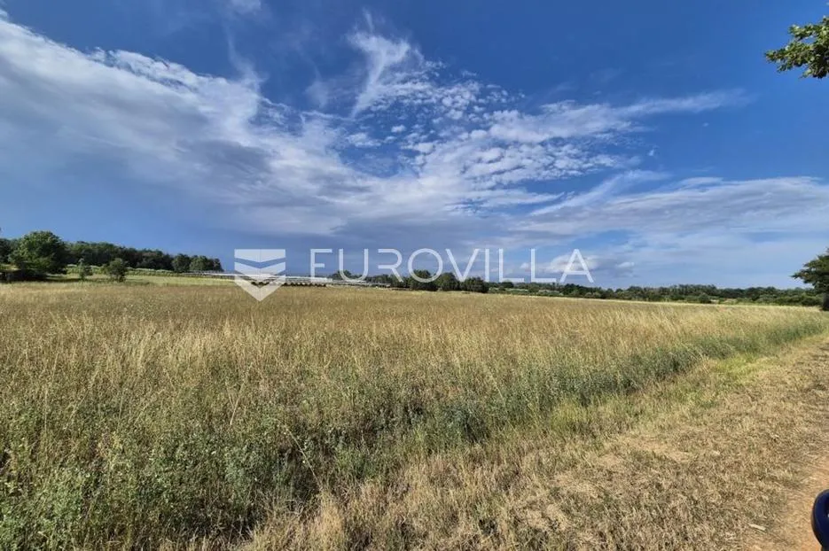 kaštelir, cerjani, poljoprivredno zemljište 32619 m² - slika 3