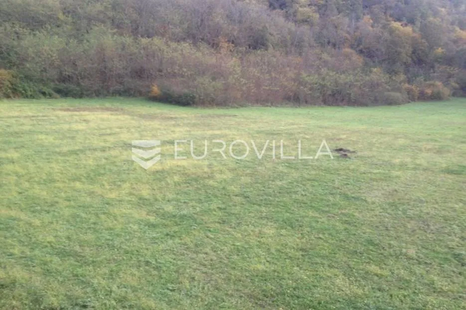istra, kanfanar, uređeno poljoprivredno zemljište 13.270 m2 - slika 4