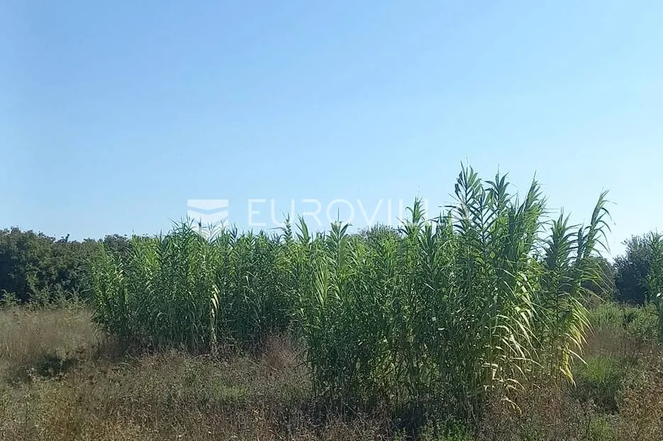 pula, valdebek, građevinsko zemljište na idealnoj lokaciji, 901 m² - slika 5