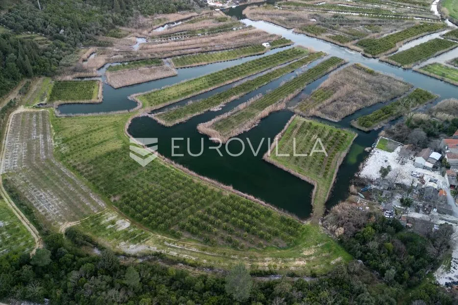 slivno, tuštevac, poljoprivredno zemljište 40000 m² - slika 5