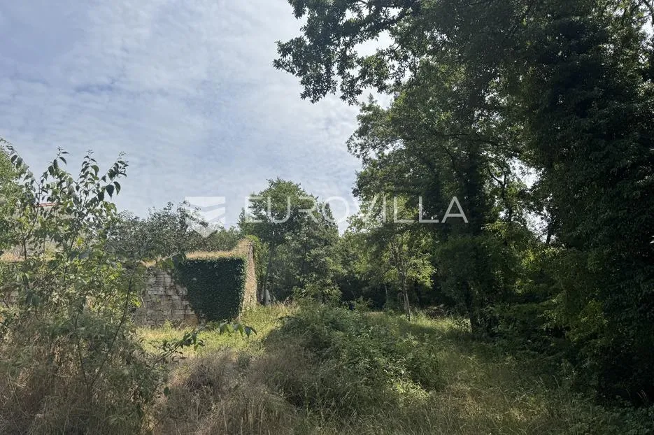 istra, sveti lovreč okolica, građevinsko 538m2 i poljoprivredno zemljište ukupne površine 48294m2 - slika 5