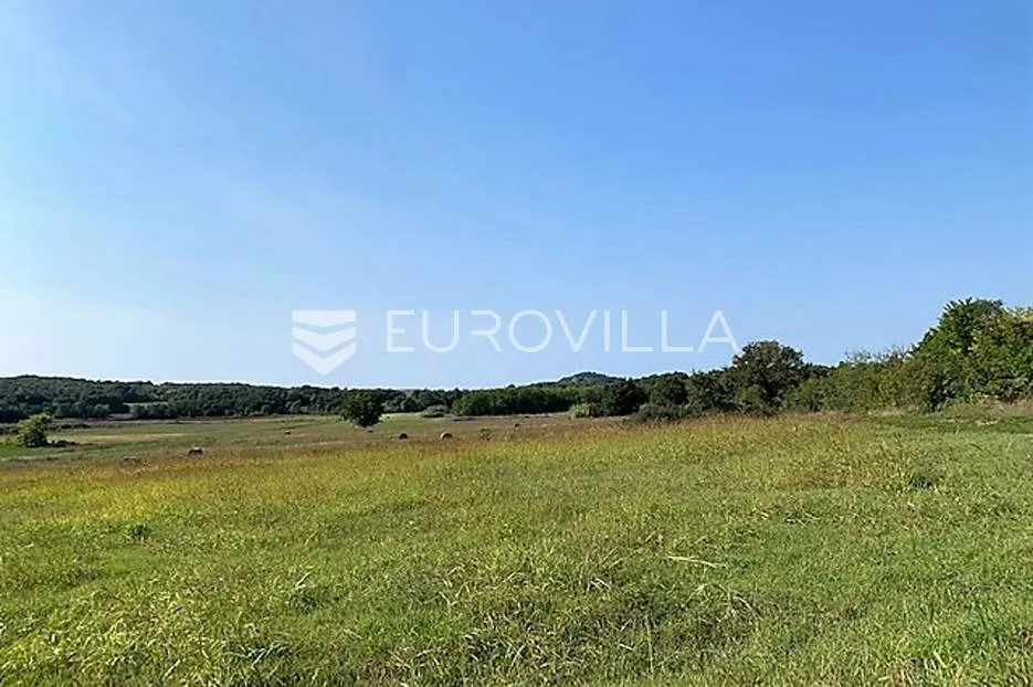 istra, poreč okolica poljoprivredno gospodarsko zemljište 1200 m2, mugeba - slika 4