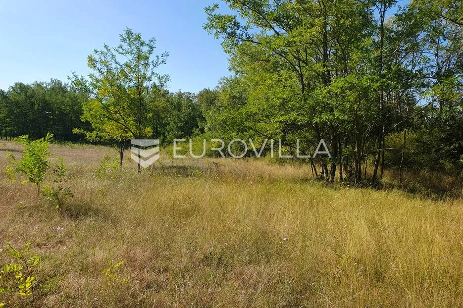 istra, baderna, poljoprivredno zemljište 12.120m2 - slika 13