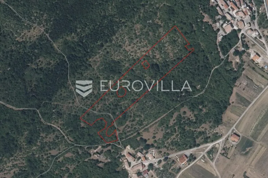 istra, ročko polje, veliko poljoprivredno zemljište 15497m2 - slika 1