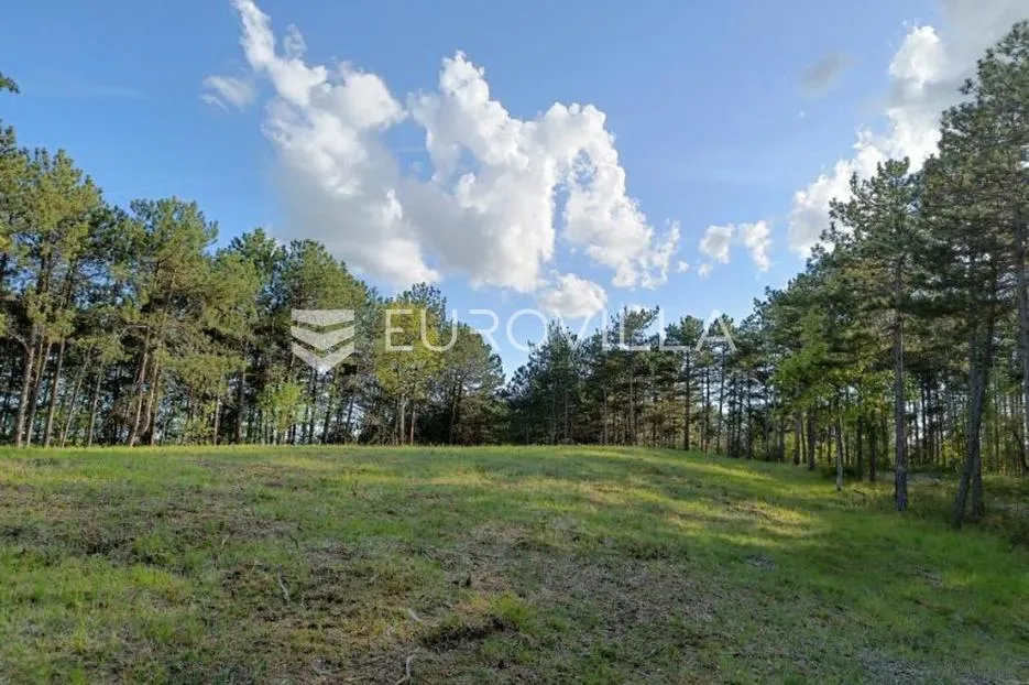 istra, grašćišće, jedinstveno građevinsko zemljište 2000 m² okruženo stoljetnom šumom 36789 m² - slika 7