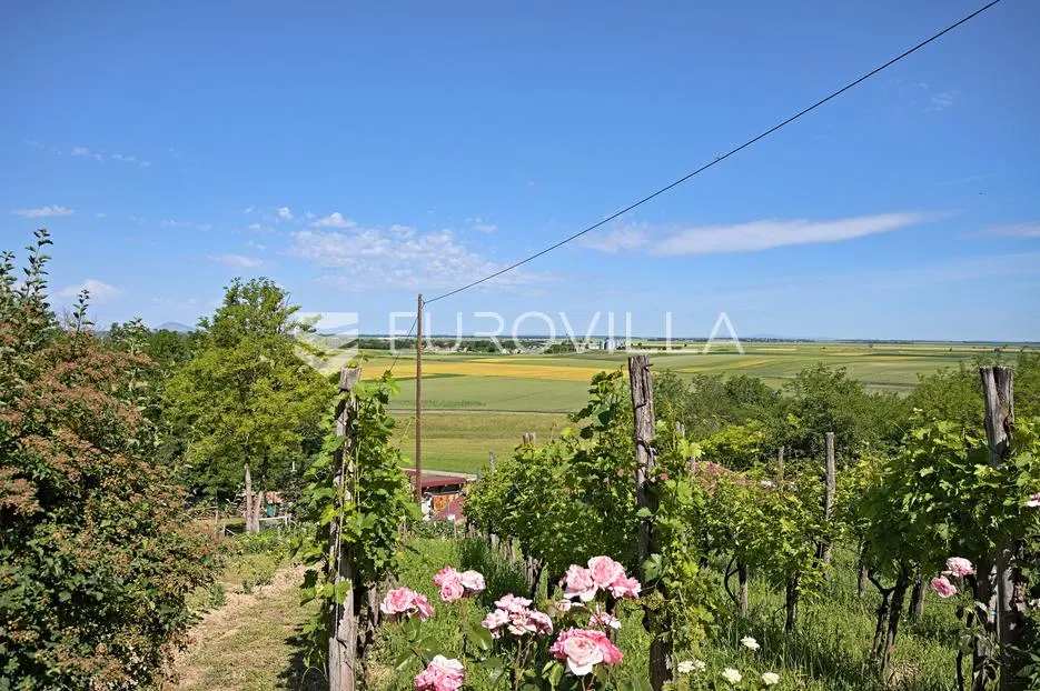 baranja, popovac, imanje s tri objekta, bazenom i 6ha zemlje proizvodnja - slika 6