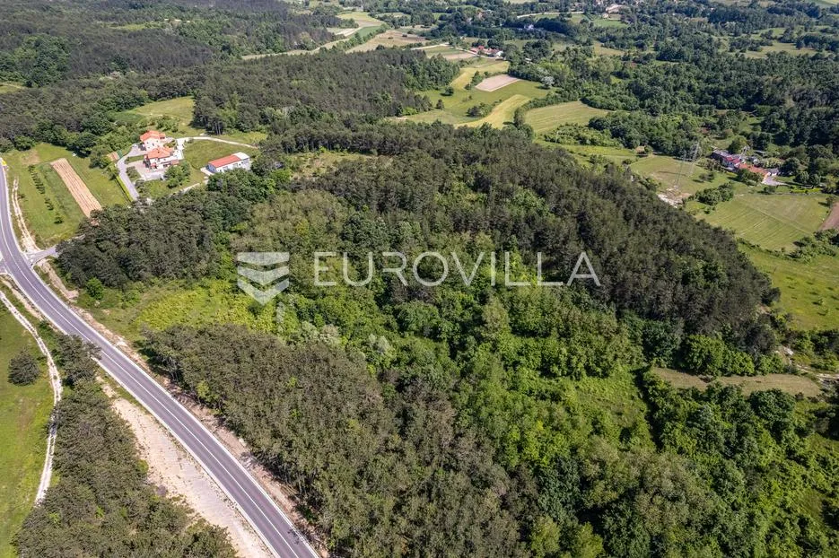 istra, grašćišće, jedinstveno građevinsko zemljište 2000 m² okruženo stoljetnom šumom 36789 m² - slika 25