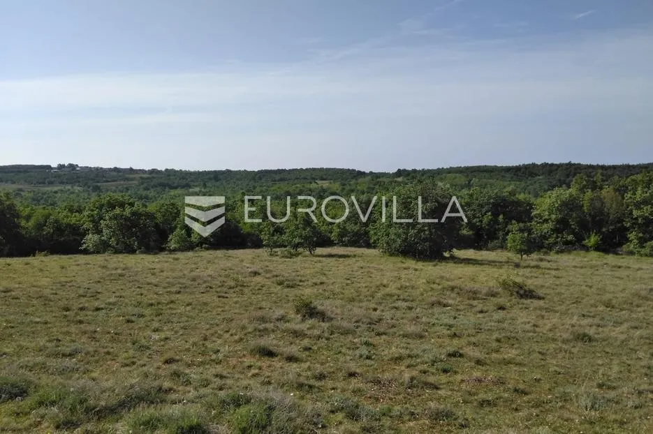 Istra, Višnjan, poljoprivredno zemljište s pogledom na more 38.360 m², prilika - Zoričići, Višnjan