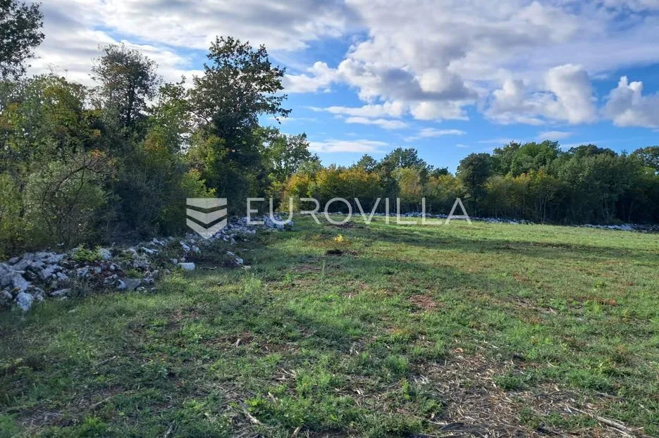 istra, rovinj okolica, poljoprivredno zemljšte 10038m2 na 200m metara od mora - slika 6
