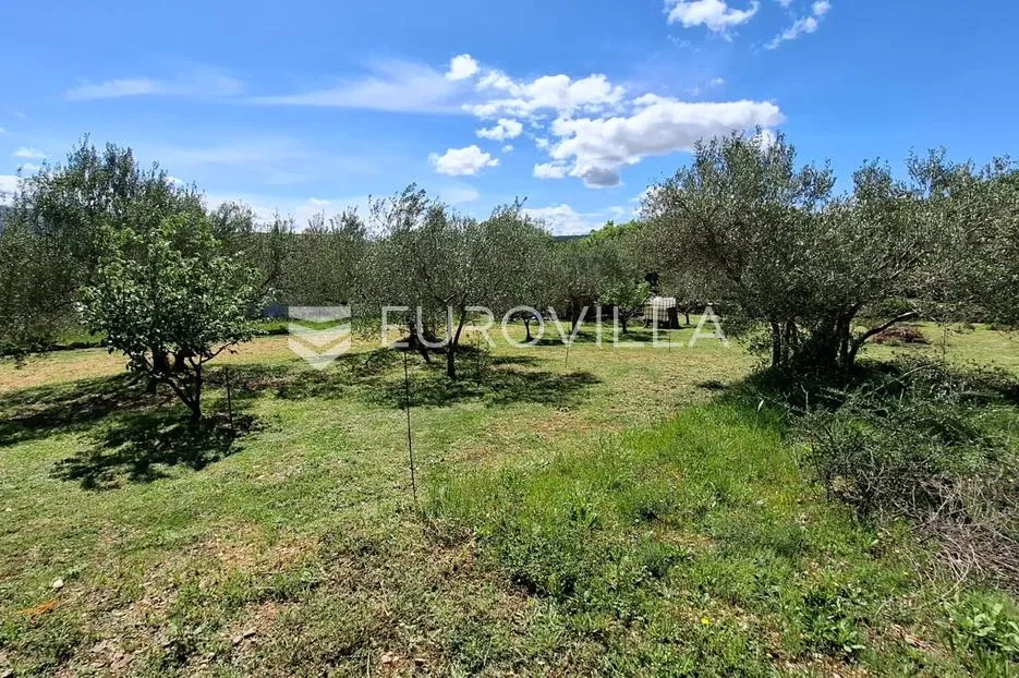 novigrad, pridraga, uređeno građevinsko zemljište s pogledom na more površine 1181m2 - slika 2