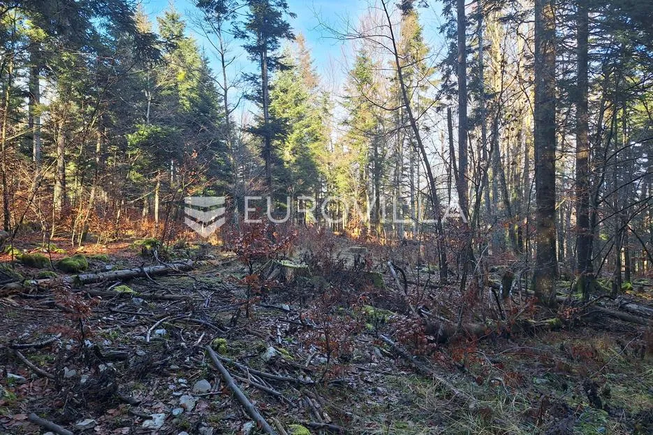 bosiljevo, poljoprivredno zemljište 12800 m² uz autocestu - slika 4