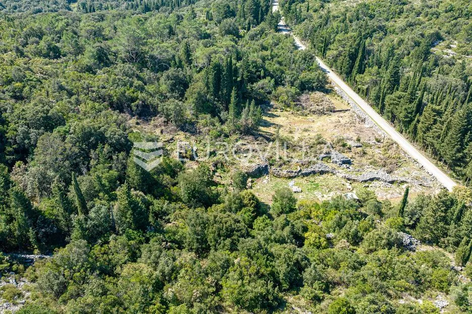 korčula, pupnat, poljoprivredno zemljište uz cestu površine 9.400 m² - slika 9