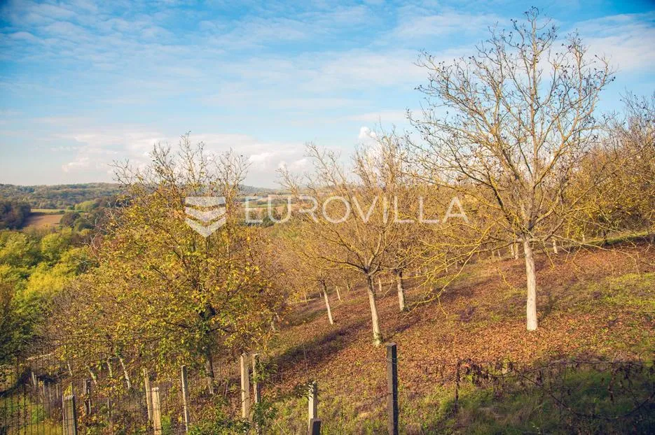 sveti petar orehovec, zaistovec, građevinsko zemljište 5611 m² - slika 4