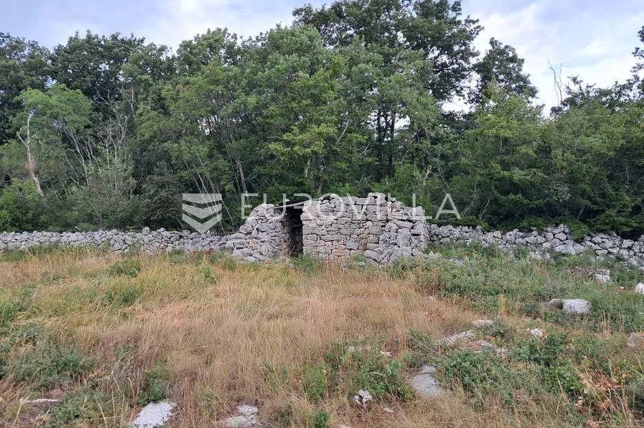 istra, rovinj okolica, poljoprivredno zemljšte 10038m2 na 200m metara od mora - slika 16
