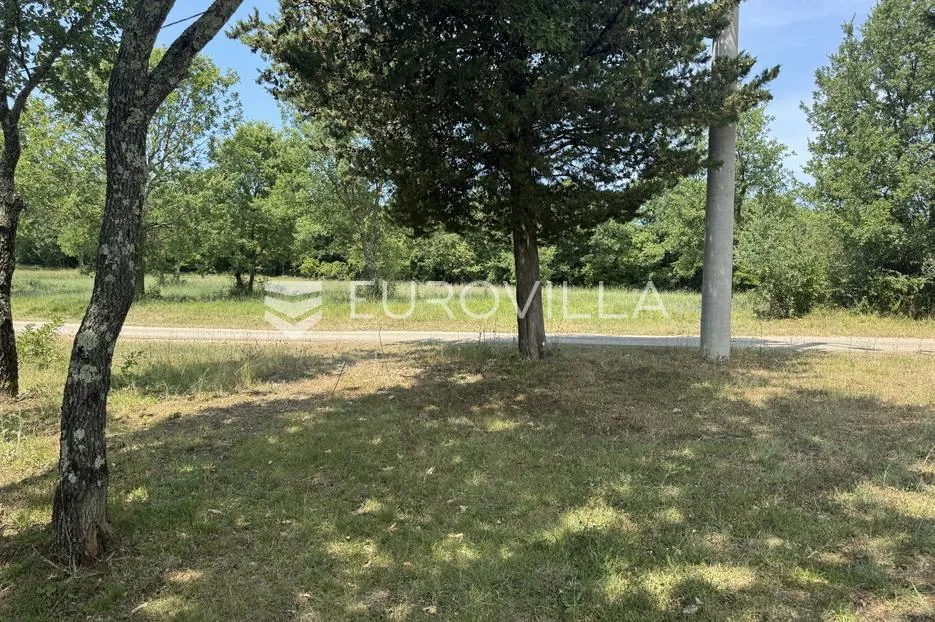 istra, sveti lovreč okolica, građevinsko 538m2 i poljoprivredno zemljište ukupne površine 48294m2 - slika 3