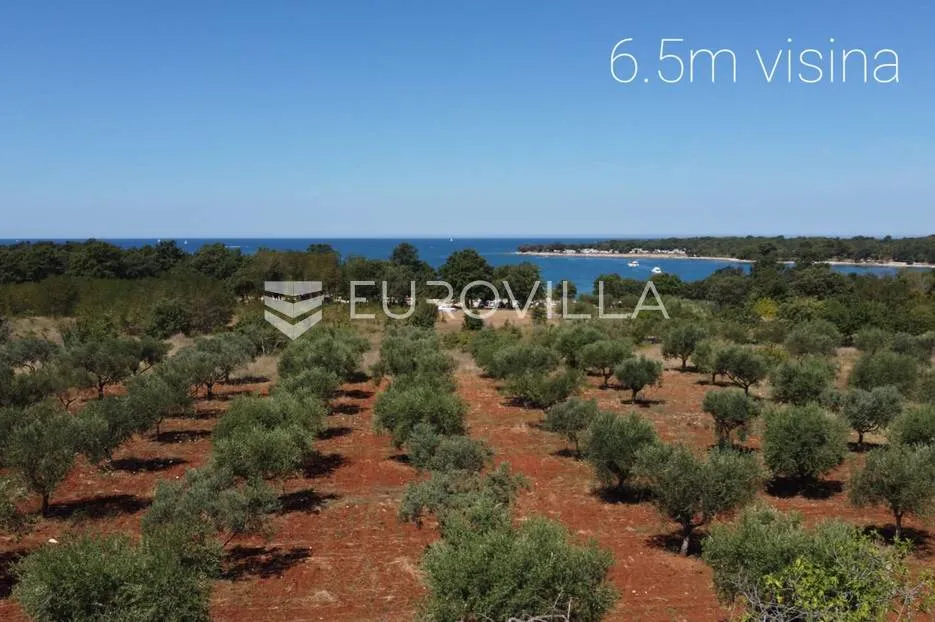 istra, poreč, luksuzna vila na 400m od mora - slika 30