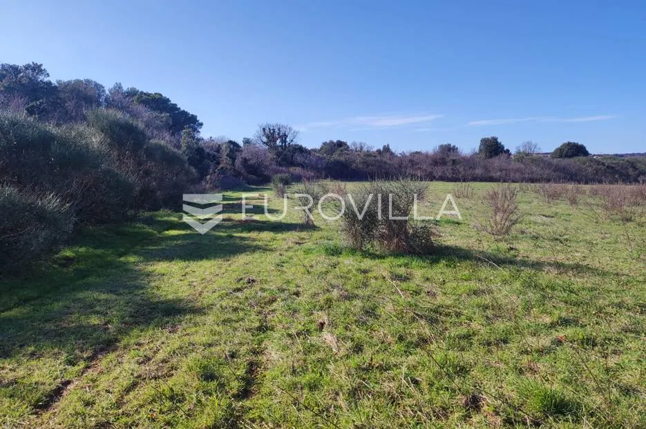ližnjan, veliko poljoprivredno zemljište 7340 m2 s pogledom more - slika 5