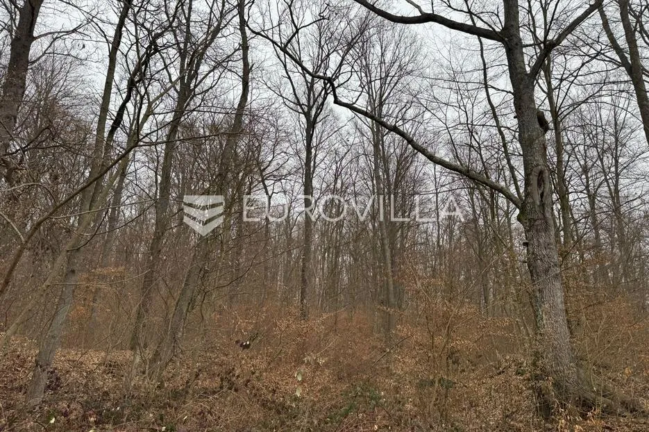 levanjska varoš, šume i zemljišta, ukupno cca 60 ha - slika 10