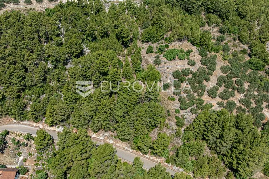 otok korčula, blato, uvala gršćica, poljoprivredno zemljište blizu mora - slika 3