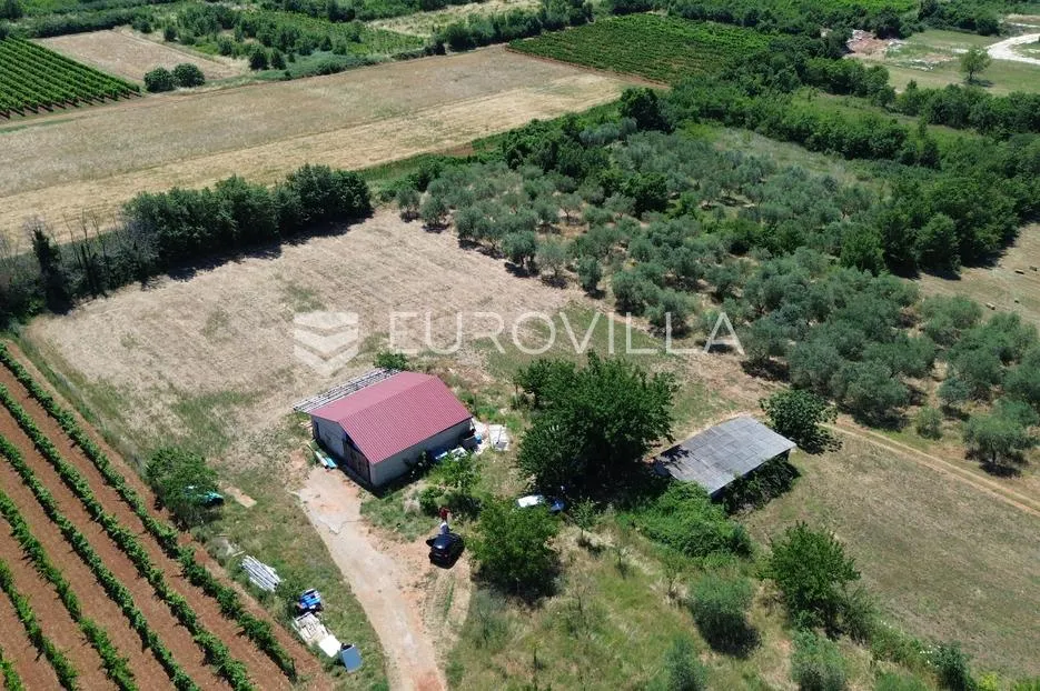istra, vodnjan, gospodarska zgrada s pomoćnim objektom na prostranom zemljištu - slika 4