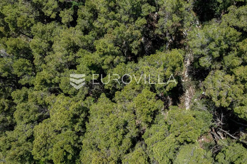 otok korčula, blato, poljoprivredno zemljište u blizini prigradice - slika 7