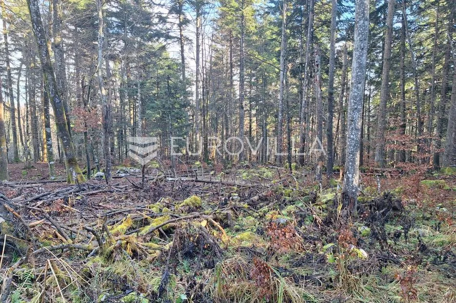 vrbovsko, lukovdol, poljoprivredno zemljište 31000 m², mogućnost gradnje - slika 4