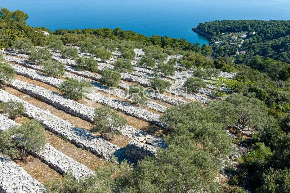 otok korčula, blato, poljoprivredno zemljište s dvije ruševne kamene kućice. - slika 12