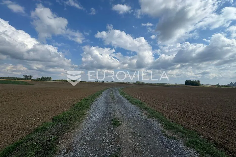 kuševac, atraktivno poljoprivredno zemljište uz cestu, 4 ha - slika 5