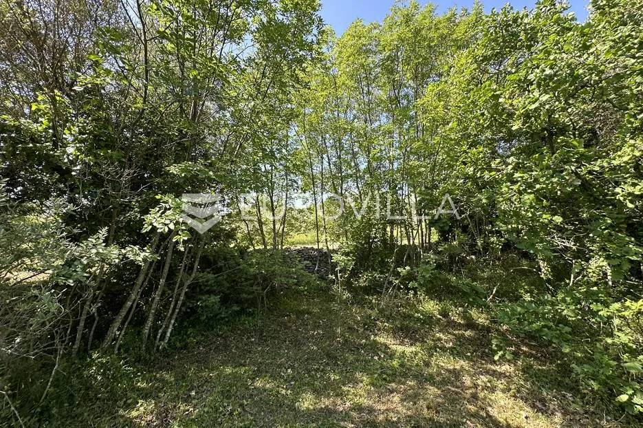 istra, šegotići, poljoprivredno zemljište, 3057m2 - slika 6