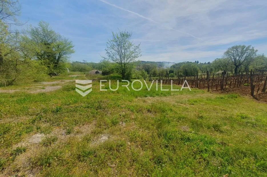 istra, novaki motovunski, građevinsko zemljište - slika 6