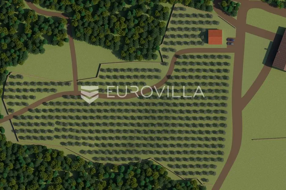 istra, bale, poljoprivredno zemljište 12200m2 s mogućnošću gradnje gospodarskog objekta - slika 2