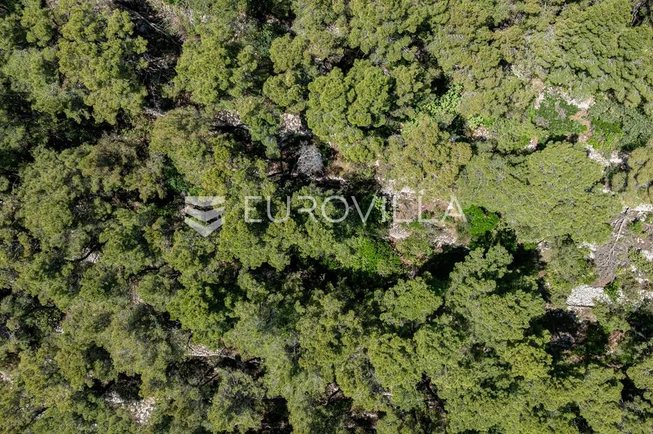 otok korčula, blato, poljoprivredno zemljište u blizini prigradice - slika 8