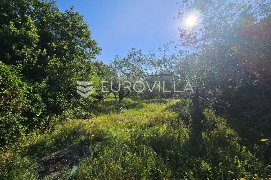 otok ugljan, sutomišćica, građevinski teren prvi red do mora - slika 2