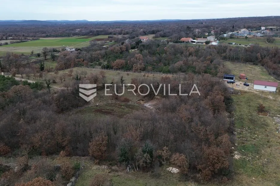 istra, svetvinčenat, prostrano mješovito zemljište s projektom i dozvolom, mirna lokacija 27277 m² - slika 2