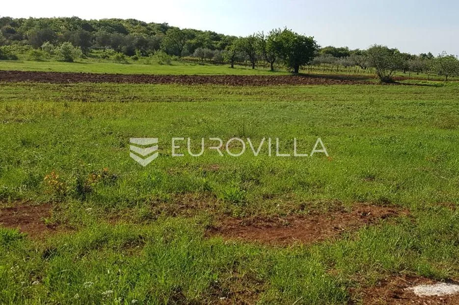 Istra, Rovinjsko selo, poljoprivredno zemljište 7217m2 - Rovinjsko Selo, Rovinj