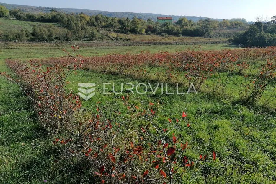 vrhovina, posjed površine 6 ha, odlična investicija - slika 11